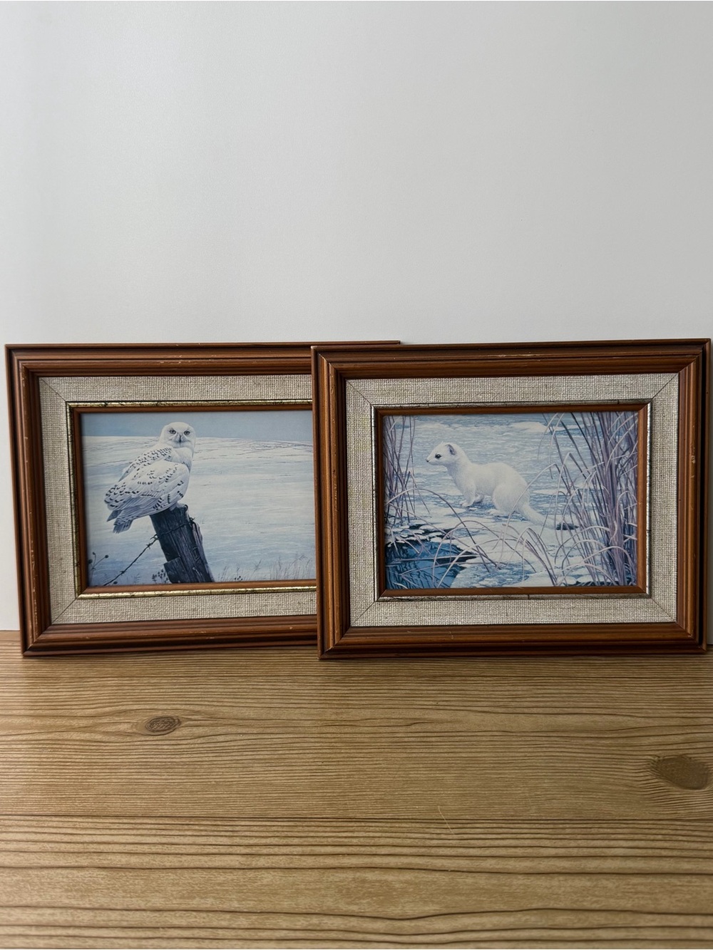 Robert Bateman Canadian Artist Framed Prints Vintage Snowy Owl & Stoat Ermine